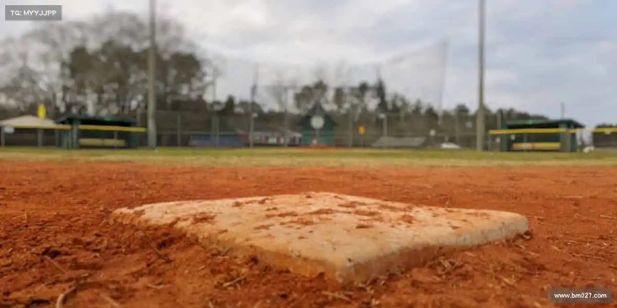 我们的核心竞争力